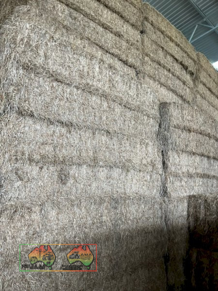 42 x Big Squares of Clover & Rye Hay ($/bale)
