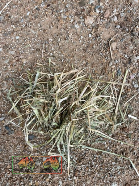 60x Shedded Rye & Clover Hay ($/bale) - photo 2
