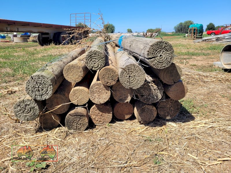 20x Used 6ft x 5" Pine Posts "C"