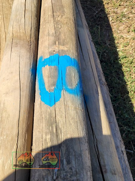 20x Used 6ft x 5" Pine Posts "B" - photo 3