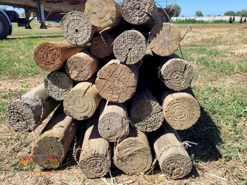 20x Used 6ft x 5" Pine Posts "B" - photo 2