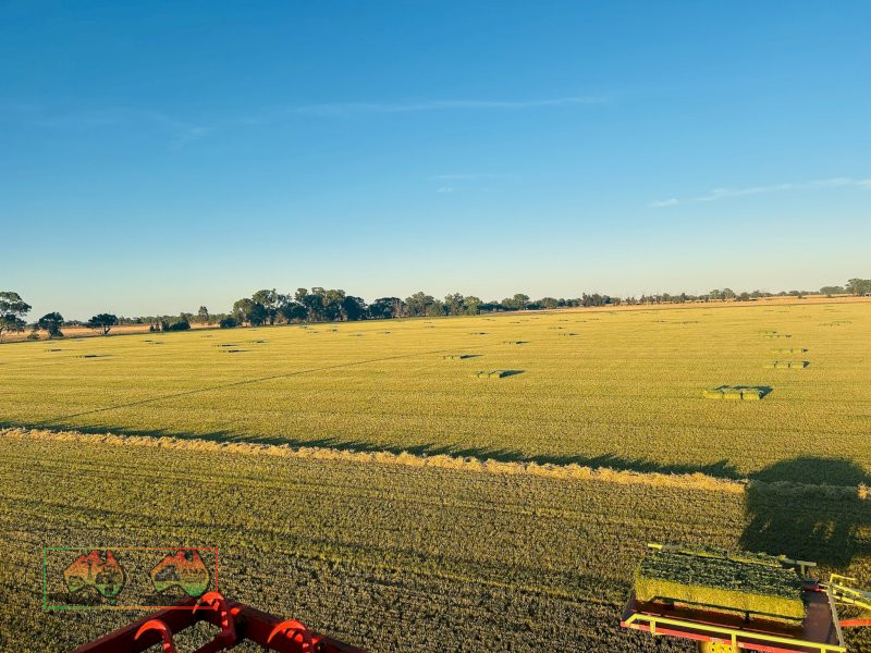 New Season 3rd Cut Quality Lucerne Hay ($/Bale) - photo 6