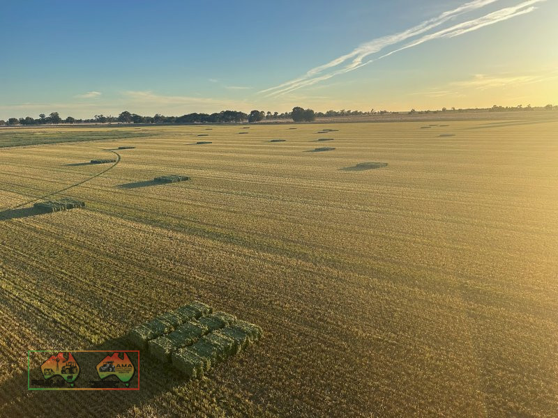 New Season 3rd Cut Quality Lucerne Hay ($/Bale) - photo 5