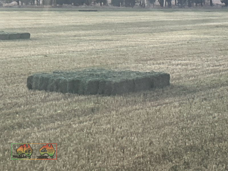 New Season 3rd Cut Quality Lucerne Hay ($/Bale) - photo 3