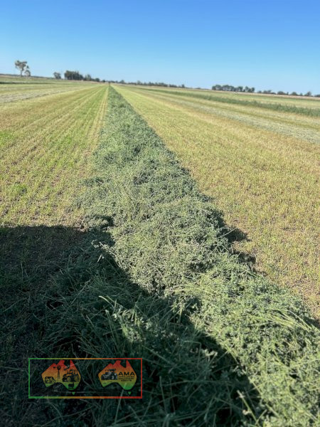 New Season 3rd Cut Quality Lucerne Hay ($/Bale) - photo 2