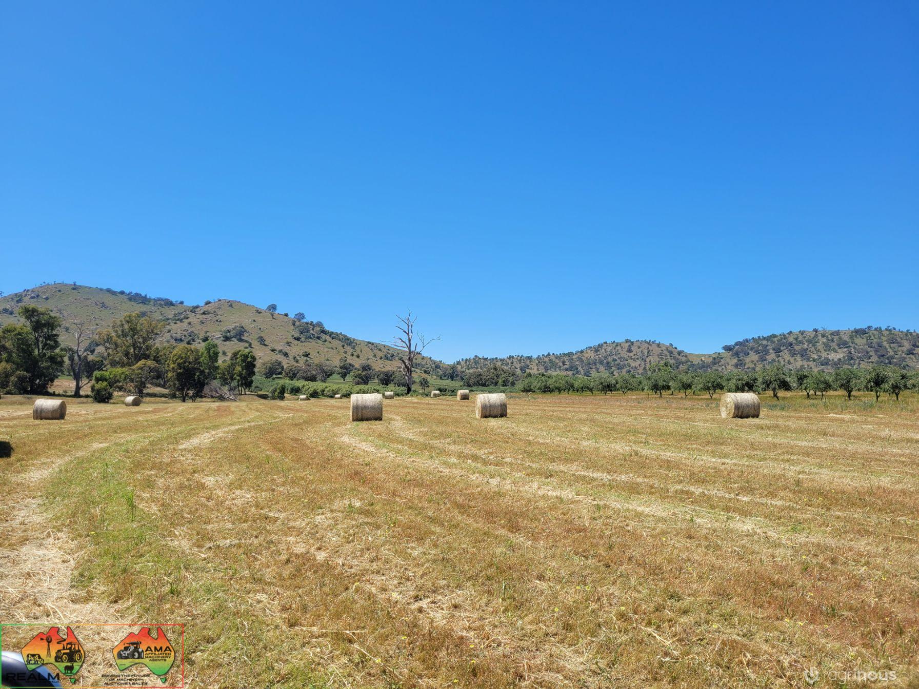 84x New Season HAY ~ Rolls of Oats & Vetch ($/bale) - photo 2
