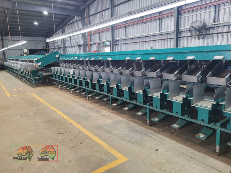 Compact 6 Lane Tomato Grader - photo 9