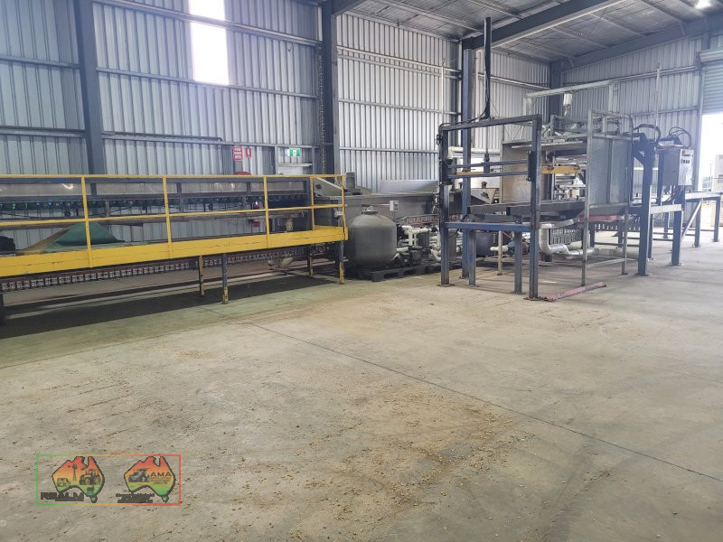 Compact 6 Lane Tomato Grader - photo 30
