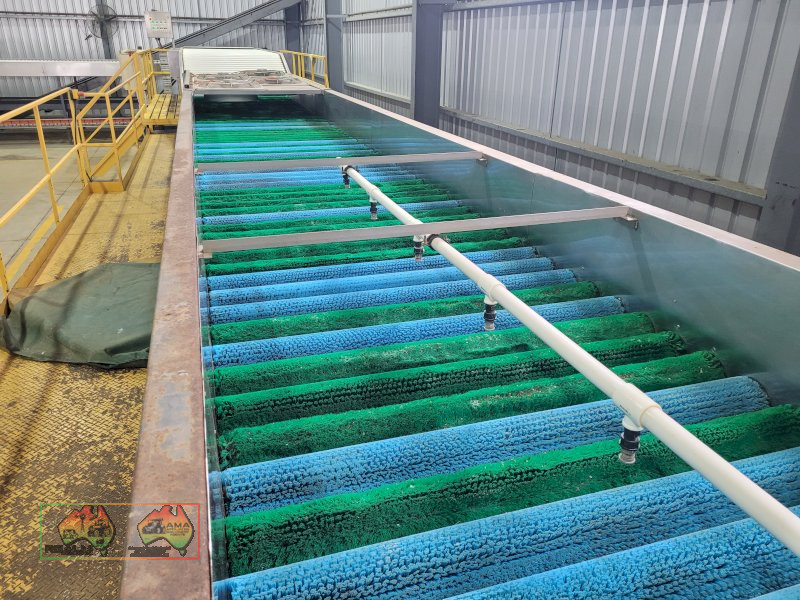 Compact 6 Lane Tomato Grader - photo 22