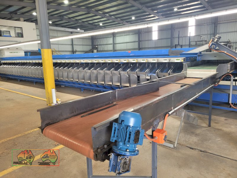 Compact 6 Lane Tomato Grader - photo 10