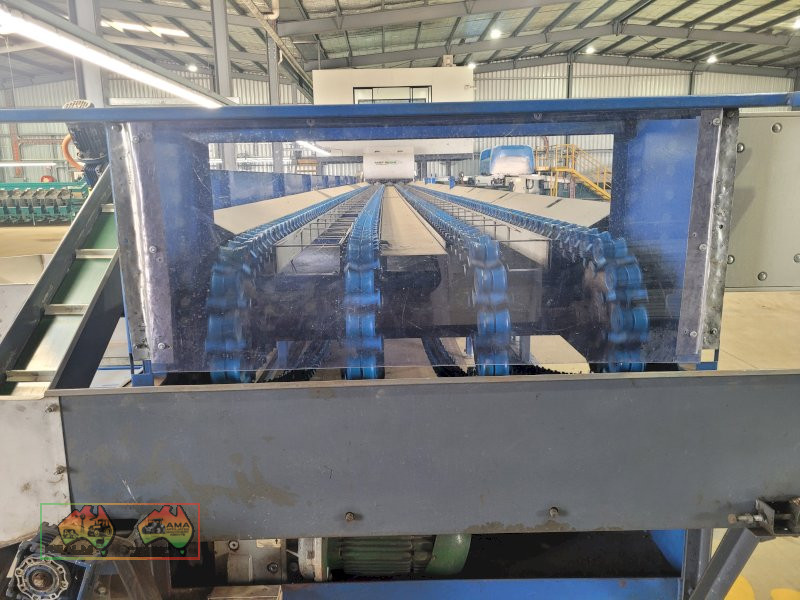 Compact 6 Lane Tomato Grader - photo 11