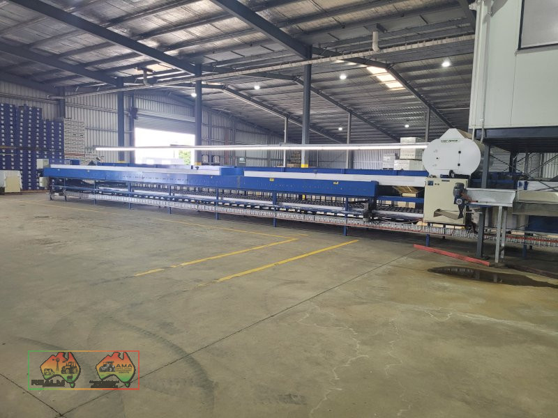 Compact 6 Lane Tomato Grader - photo 29
