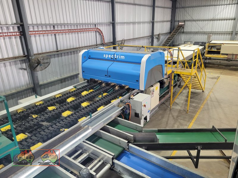 Compact 6 Lane Tomato Grader