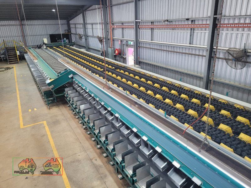 Compact 6 Lane Tomato Grader - photo 7