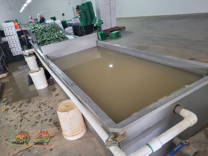 Zucchini Washer & Sorting Table - photo 6