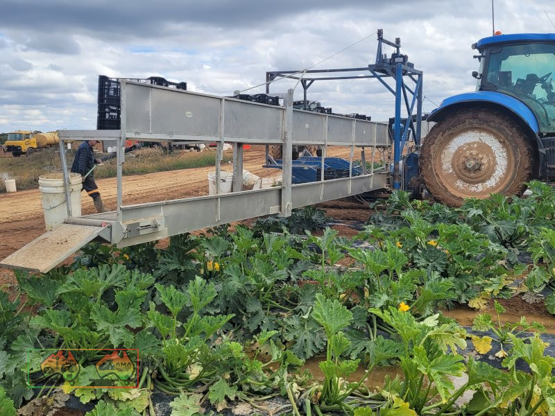 Zucchini (Fruit & Veggie) Picking & Packing Platform (REDUCED by 50%) - photo 6