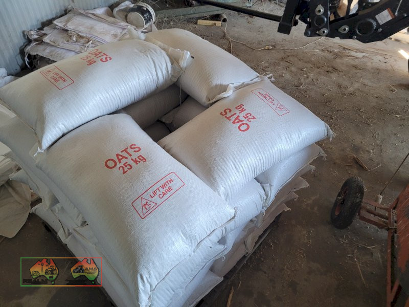 Winteroo Seed Oats (25x 25Kg Bags) - ($/bag)