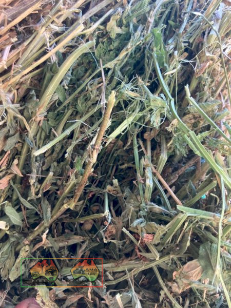 4x4 Rolls Quality Lucerne Hay, 80 Rolls ($/roll) - photo 6