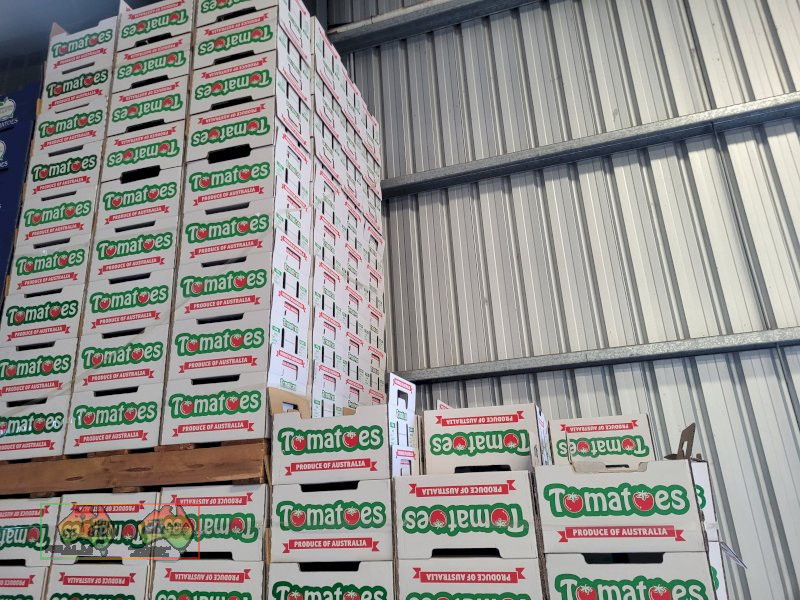 White Tomato Cardboard Fruit Boxes ($/Pallet)