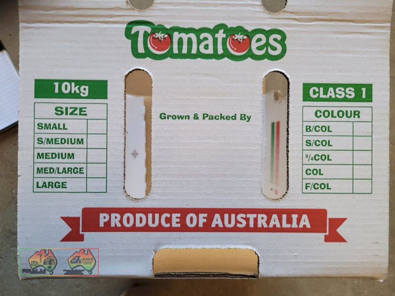 White Tomato Cardboard Fruit Boxes