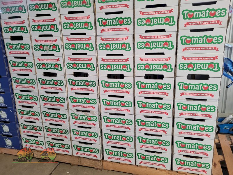 White Tomato Cardboard Fruit Boxes - photo 4
