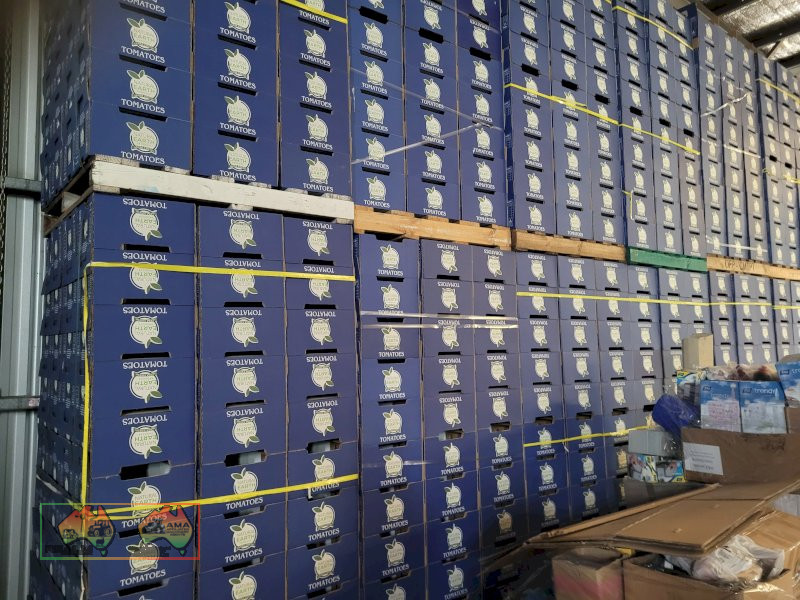 Blue Tomato Cardboard Fruit Boxes ($/Pallet) - photo 3