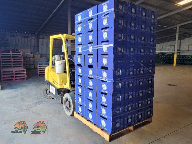 Blue Tomato Cardboard Fruit Boxes ($/Pallet)