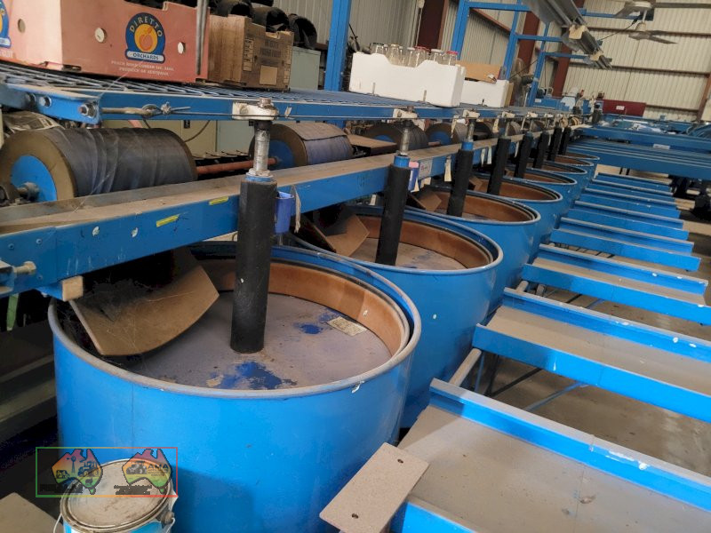 Single Row Pomme Fruit Grader - photo 8