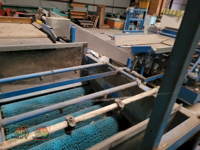 Single Row Pomme Fruit Grader - photo 21