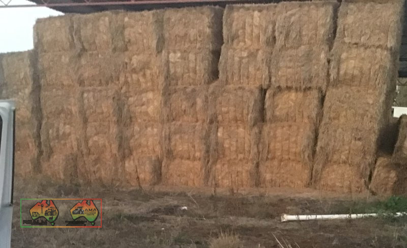 25x Clover & Rye Hay 8x4x3 ($/bale)