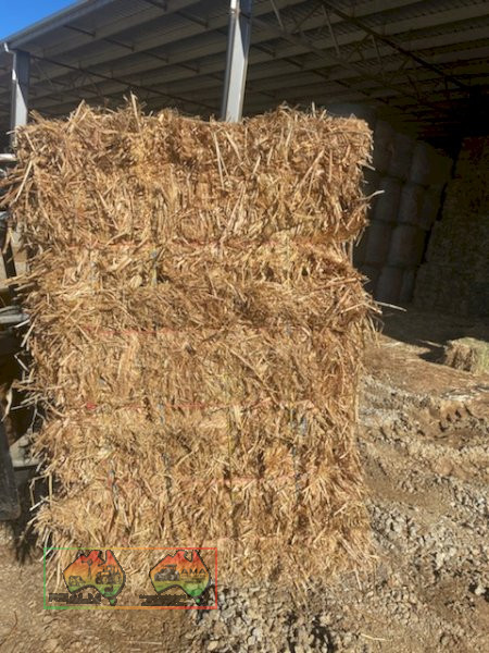 Oaten Horse Hay Small Squares ($/Bale Barron Pack of 21) - photo 2