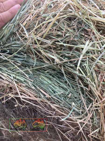 25x Rolls of Sub & Rye Grass Hay ($/Roll)