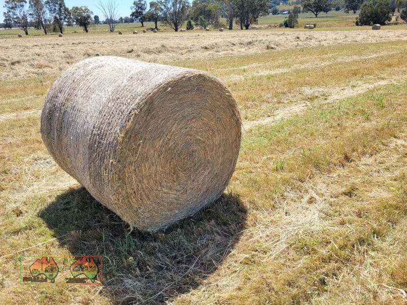 25x Rolls of Quality Pure Rye Grass Hay ($/Roll)