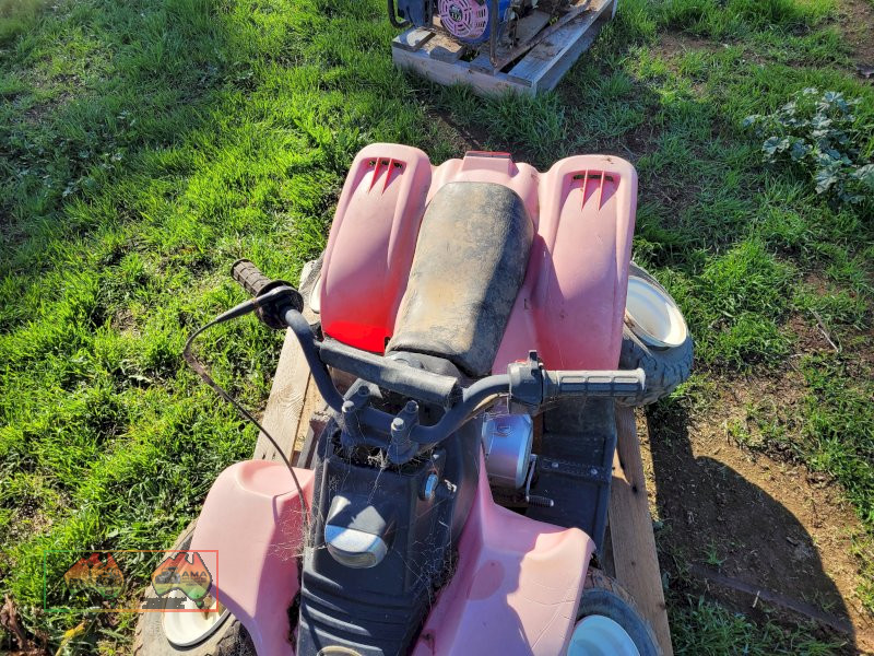 Kids Quad (Could be a goer with TLC) - photo 6