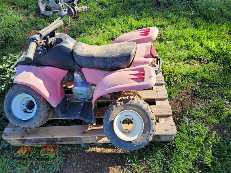 Kids Quad (Could be a goer with TLC)
