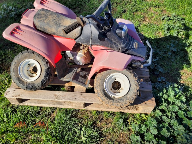 Kids Quad (Could be a goer with TLC) - photo 2
