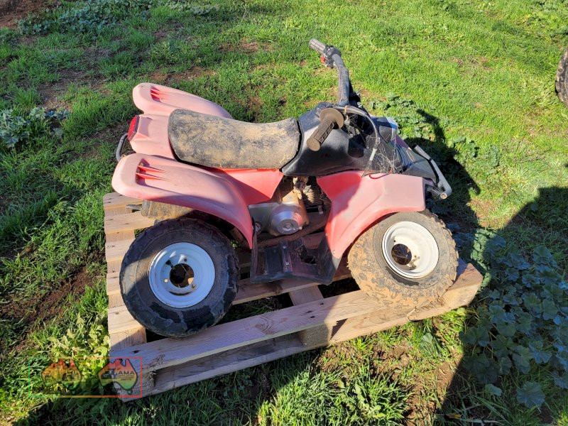 Kids Quad (Could be a goer with TLC) - photo 4