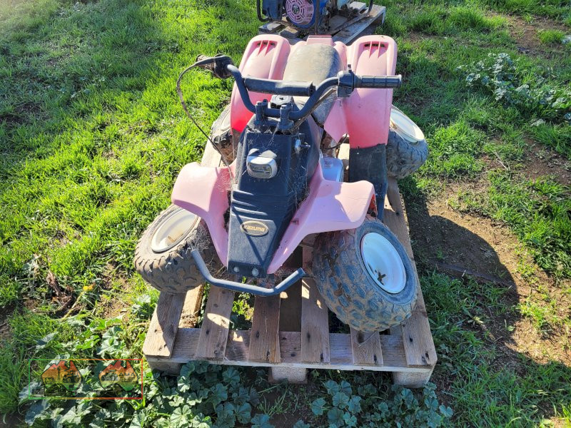 Kids Quad (Could be a goer with TLC) - photo 5