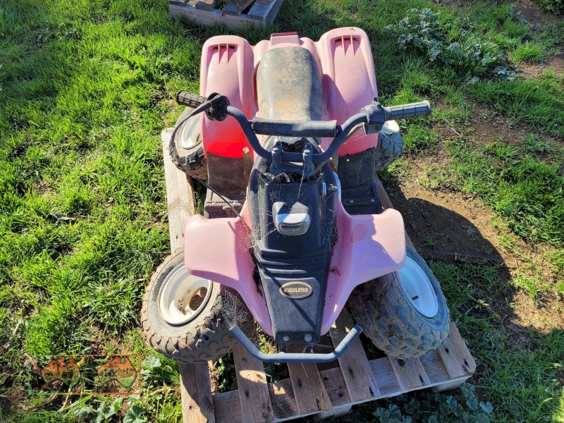 Kids Quad (Could be a goer with TLC) - photo 3