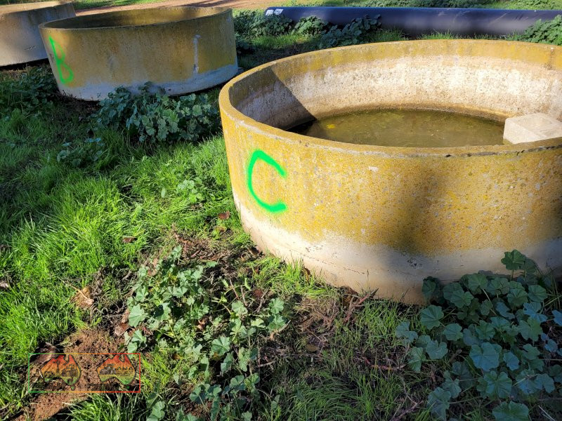 6ft Concrete Water Trough (C)