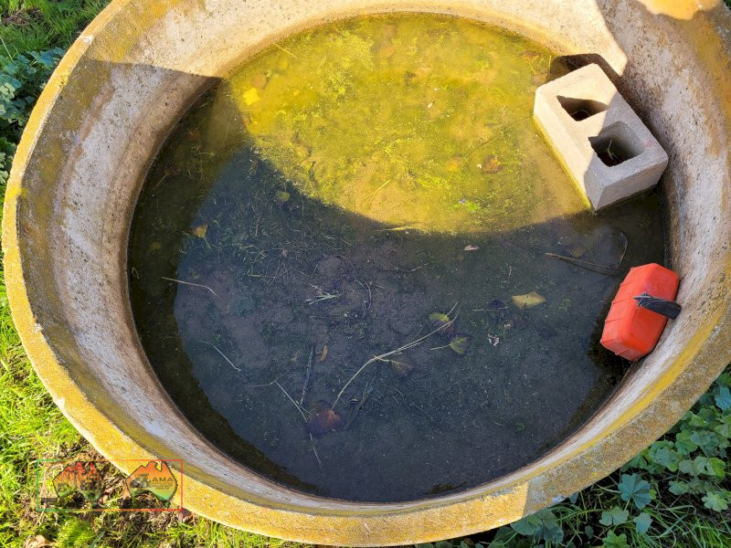 6ft Concrete Water Trough (C) - photo 4