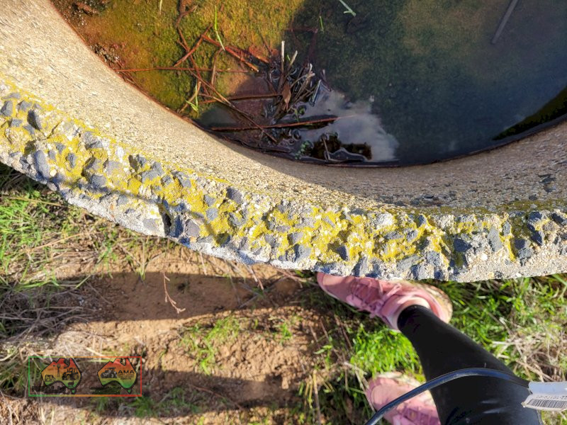 4ft Concrete Water Trough (E) - photo 4