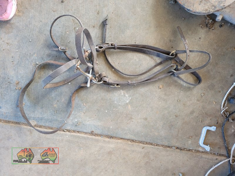 Black Leather Bridle - photo 1