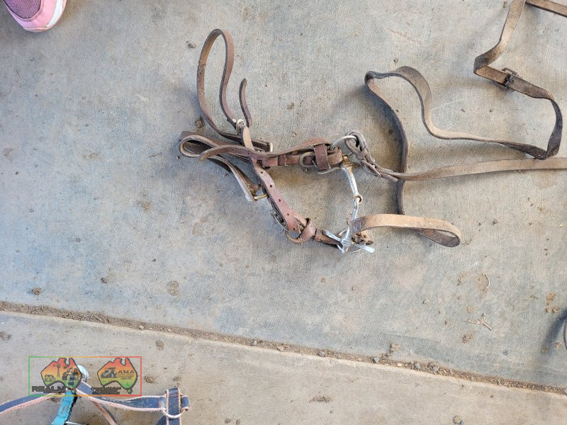 Brown Leather Bridle - photo 1