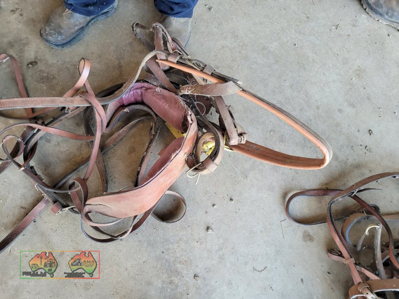 Sulky Harness (No.1) - photo 2