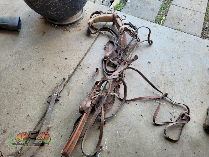 Sulky Harness (No.2) - photo 1