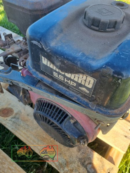 Vanguard 5.5Hp Petrol Motor