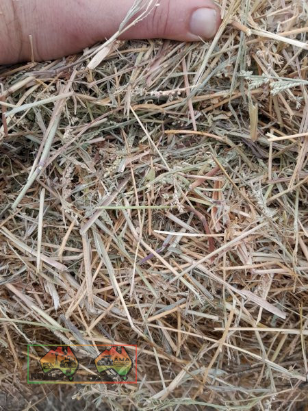 102x Rolls of Pasture Grass Hay (Delivered to Sandy Creek) - photo 3