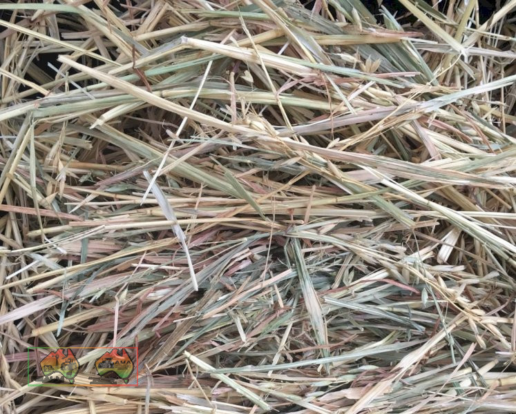 25x Rolls of Oaten Hay ($/Roll) - photo 4
