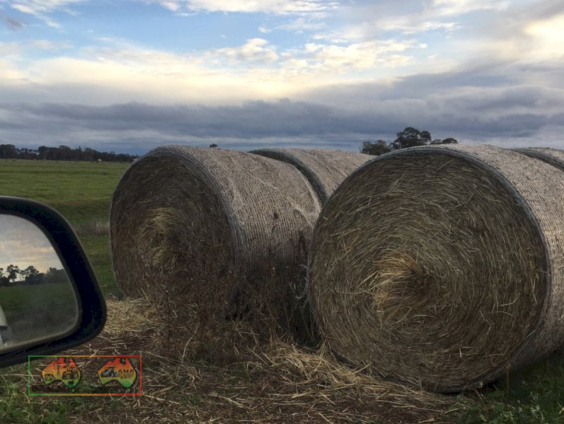 25x Rolls of Oaten Hay ($/Roll) - photo 2